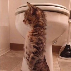 Meet your Posher, Zavier